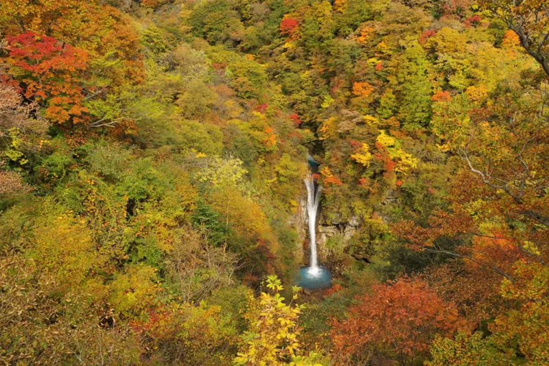 駒止の滝の紅葉情報_3