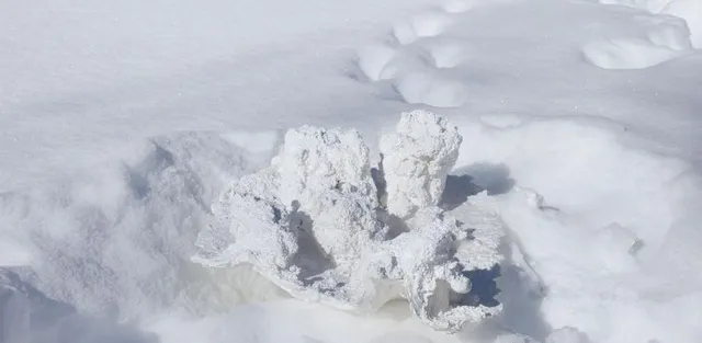 雪の下を想像（創造）する ー雪を型にしたレリーフ制作ー