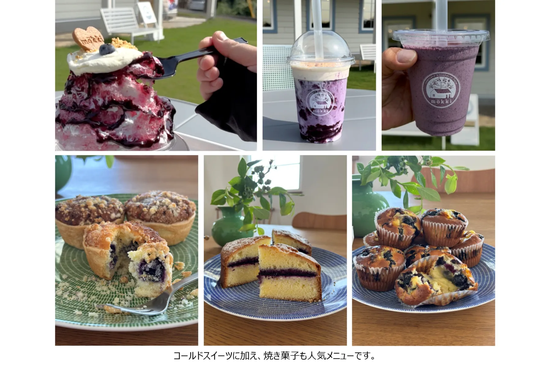 「富里ブルーベリーファームmökki」ブルーベリー体験_5