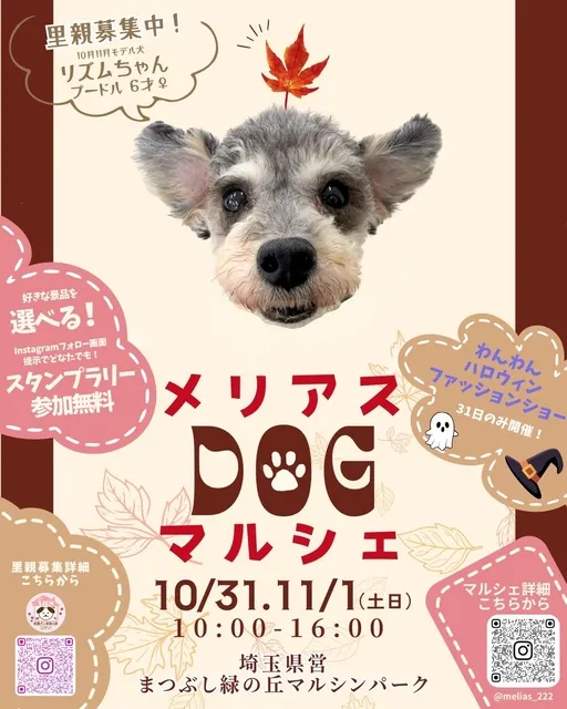 わんこと一緒に！ハロウィンを楽しもう！メリアスdogマルシェ