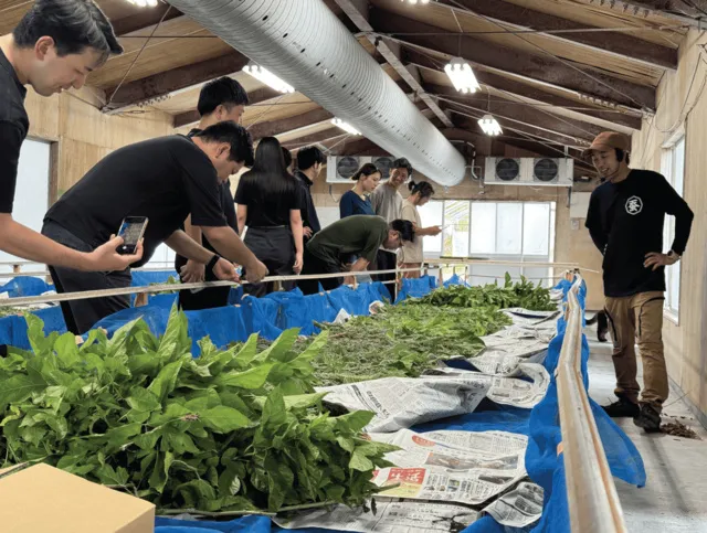 蚕感日～蚕の杜deイマーシブシルク体験～