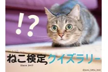 ねこだらけマーケット2026_13