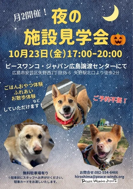 夜の施設見学会