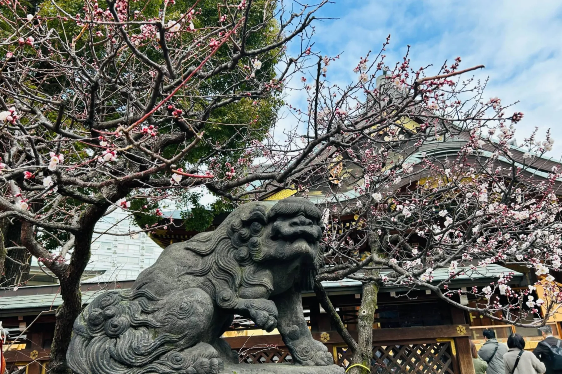 湯島天神梅まつり_11