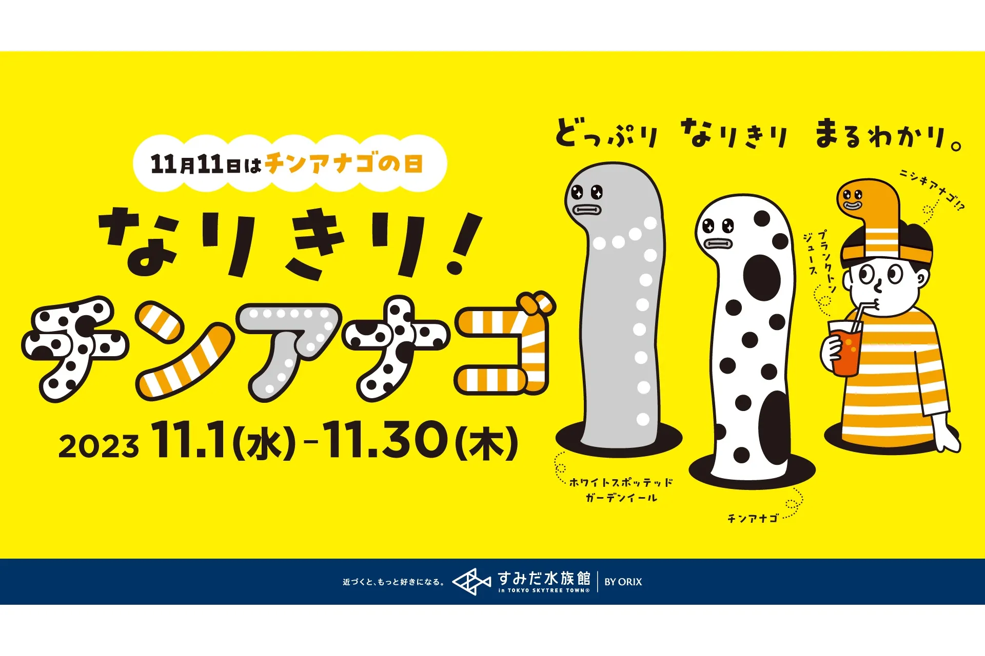 なりきり！チンアナゴ
