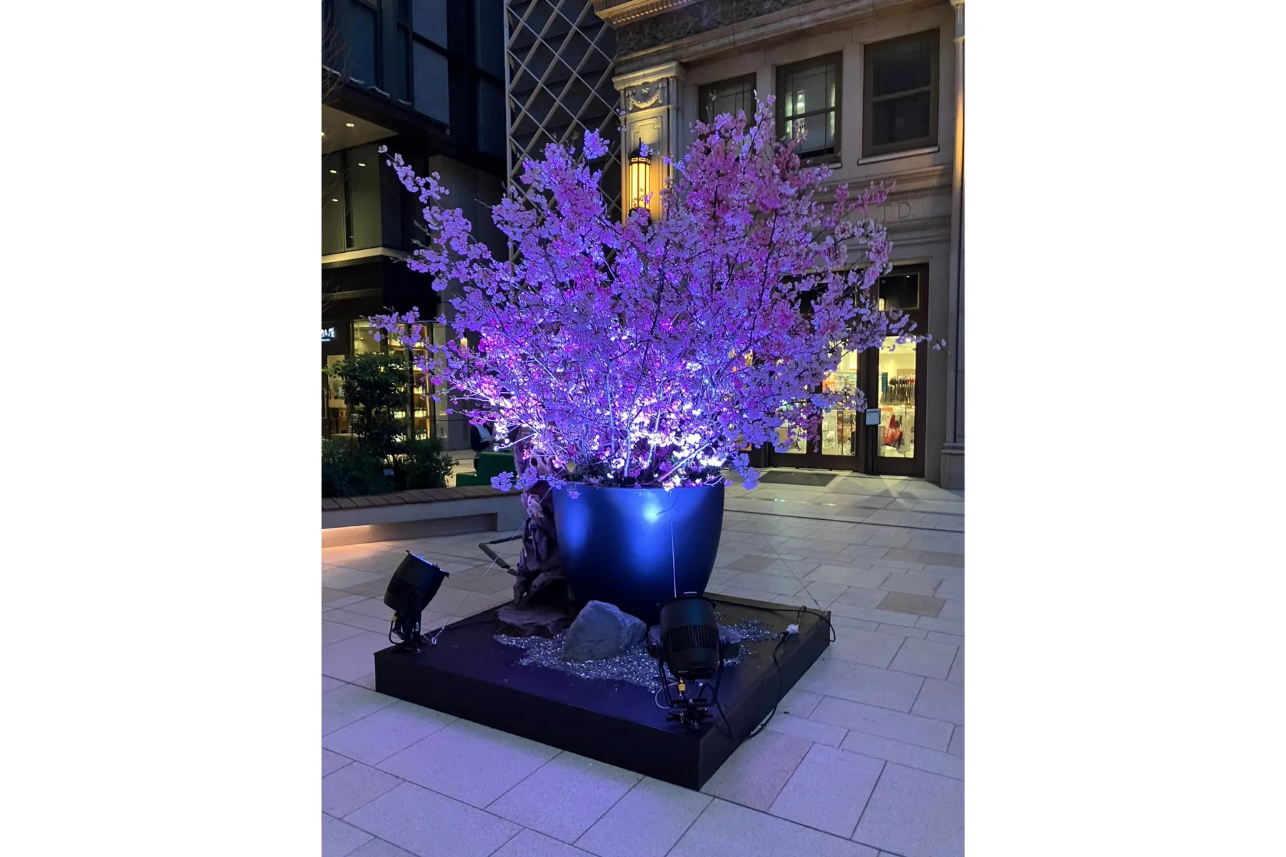Meet with Flowers in TOKYO YNK 2026_7
