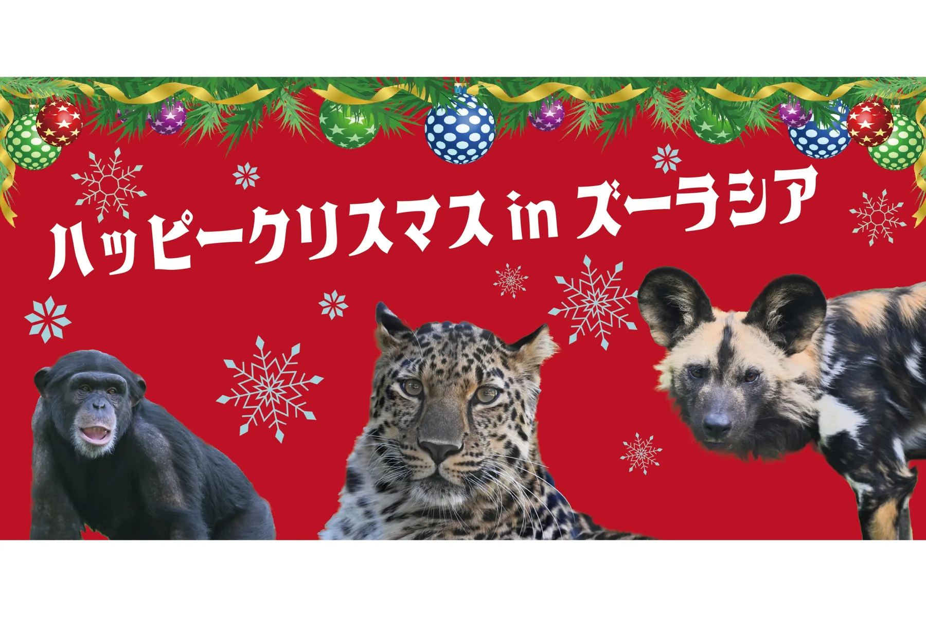 ハッピークリスマスinズーラシア_1