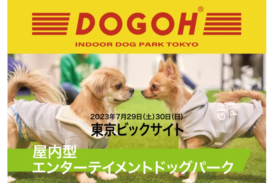 DOGOH INDOOR DOG PARK TOKYO dogoh-indoor-dog-park-tokyo