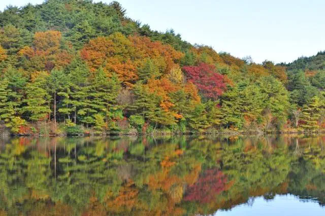 【紅葉・見ごろ】根の上高原