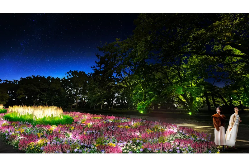 宿根草園のライトアップ（イメージ）