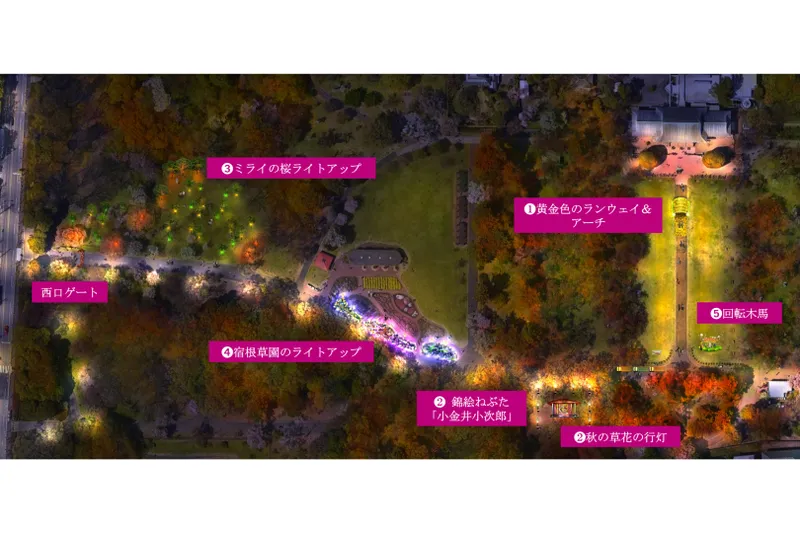花と光のムーブメント 小金井公園ナイトパークワンダー_6