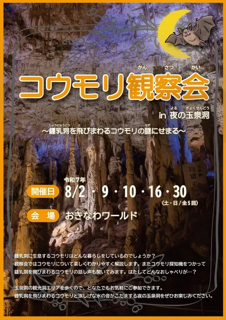 コウモリ観察会in夜の玉泉洞