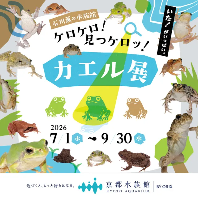 石川薫の水族館～ケロケロ!見つケロッ!カエル展～