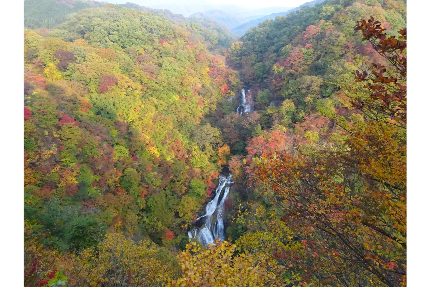 霧降ノ滝の紅葉情報_1