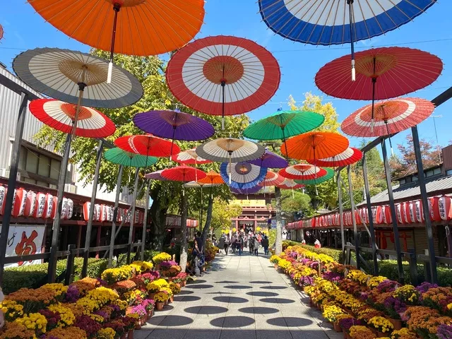 第118回　笠間の菊まつり