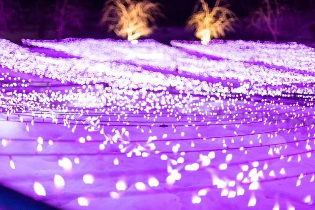 いわてまちイルミネーション2026「冬の花畑」