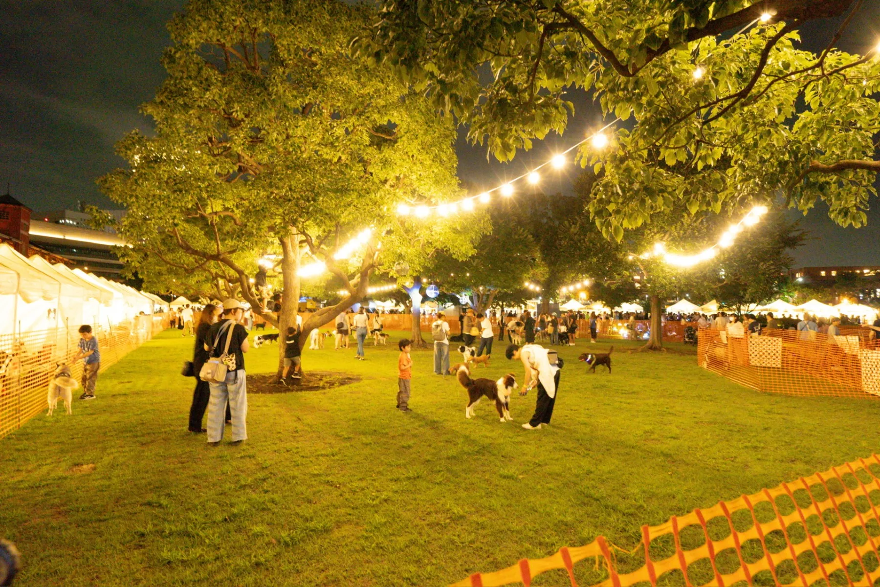 BAY WALK MARKET 2026_4