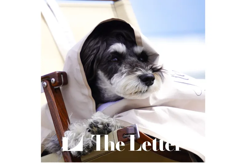 < The Letter >