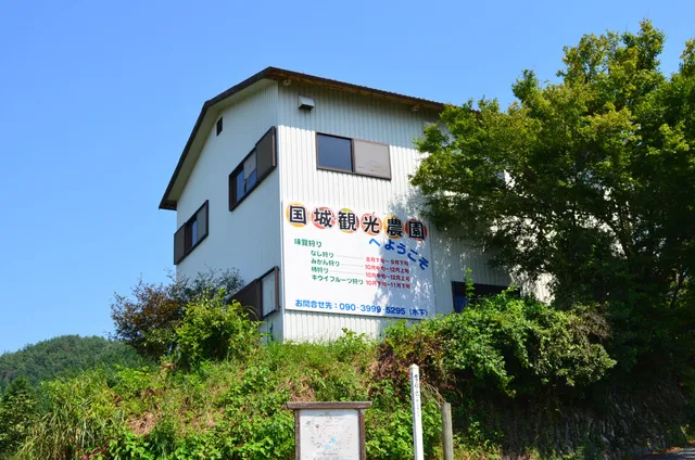 国城観光農園　みかん狩り
