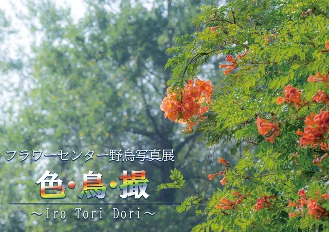 フラワーセンター野鳥写真展　色・鳥・撮-IroToriDori-