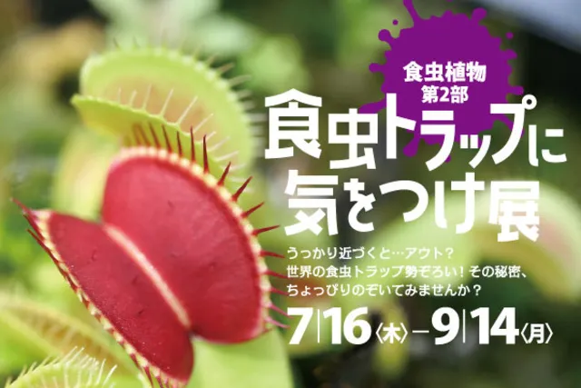 企画展示「食虫植物 第2部 食虫トラップに気をつけ展」_1