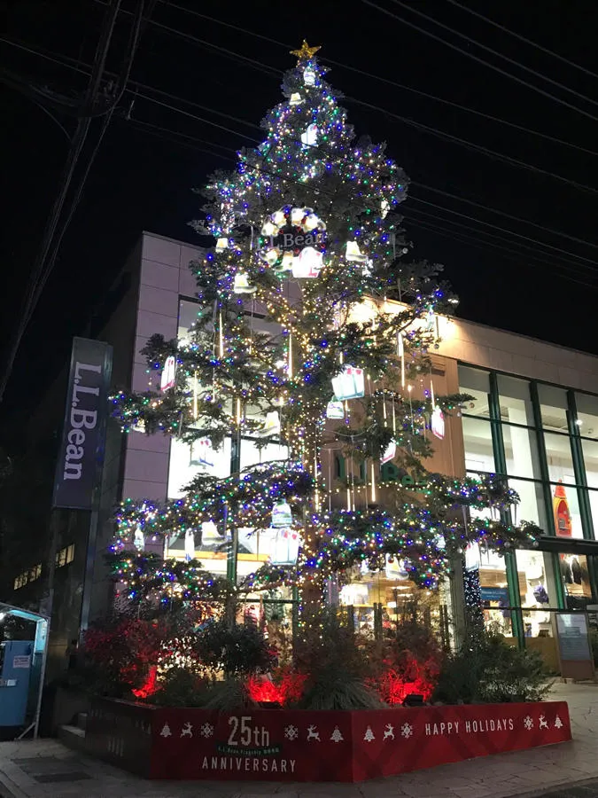 Holiday Decoration Campaign at Flagship 吉祥寺店_1