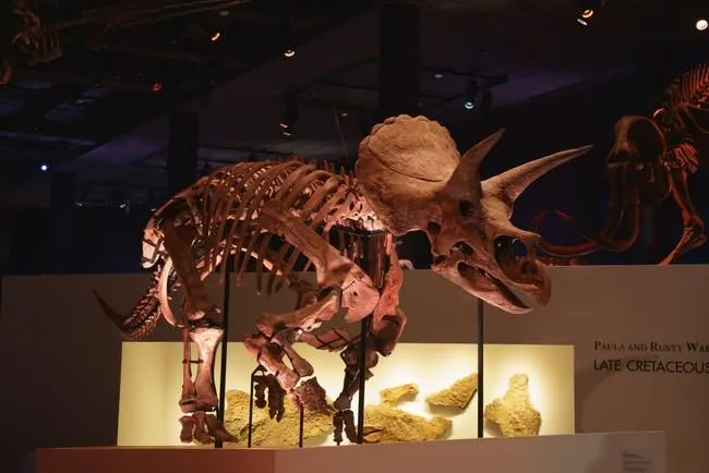 Sony presents DinoScience 恐竜科学博 ～ララミディア大陸の恐竜物語