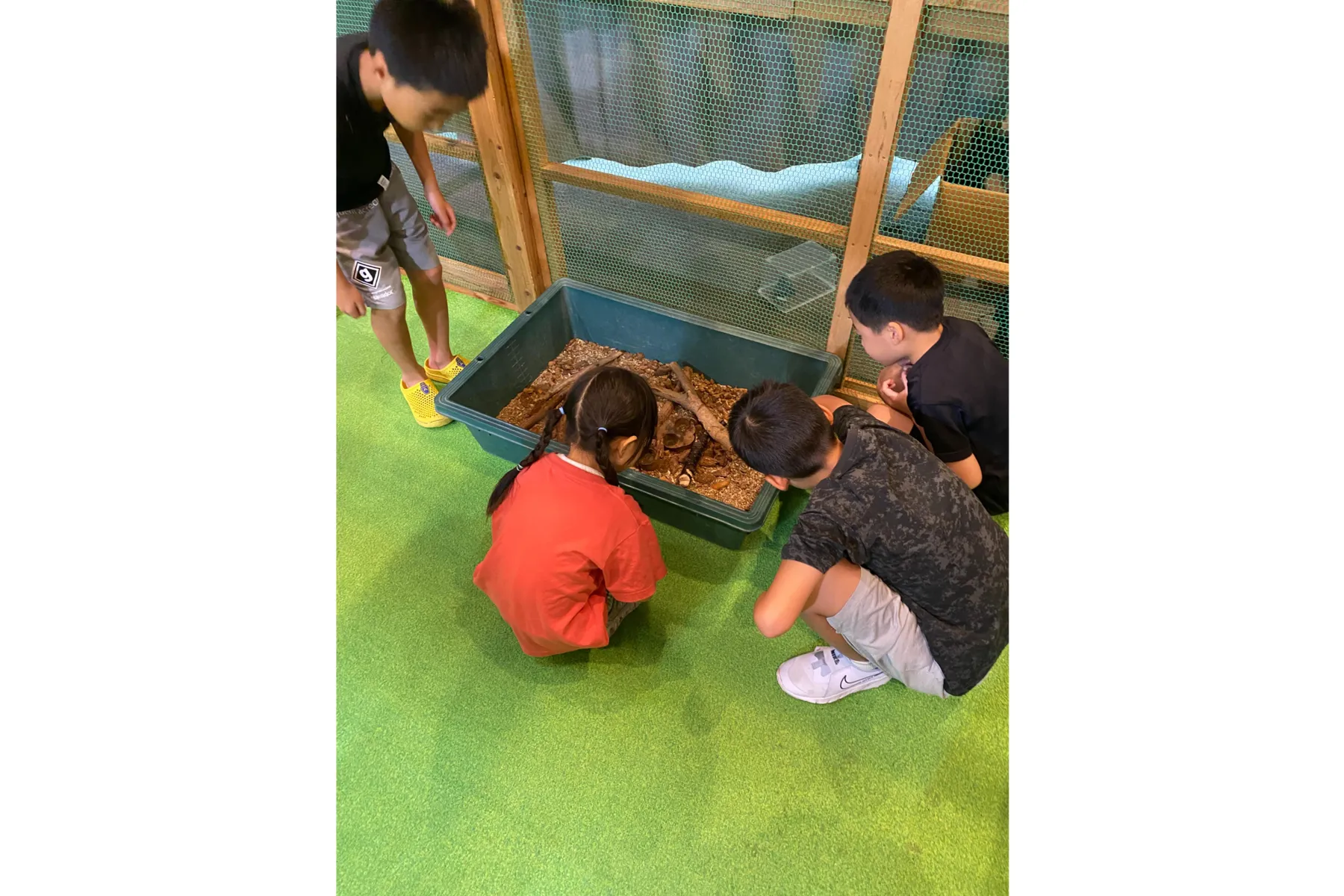 夏休み特別展 熱帯の昆虫2025年_4