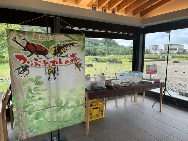 3日間限定　夏休み特別イベント！かぶとむしの森