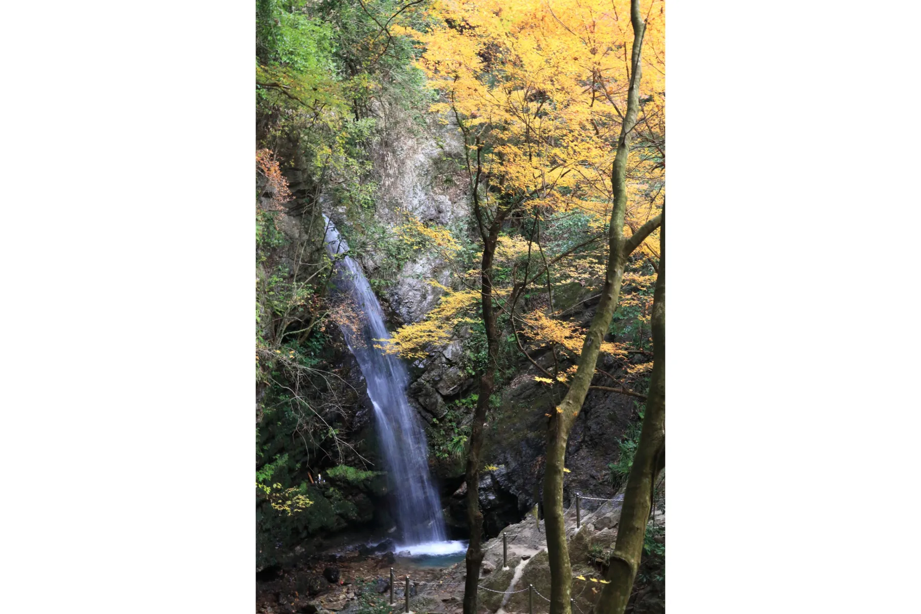 黒山三滝の紅葉情報_3