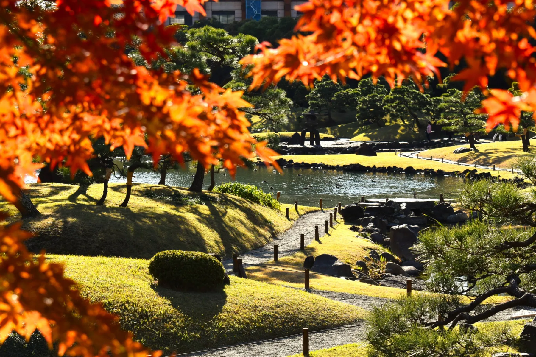 旧芝離宮恩賜庭園の紅葉情報_1