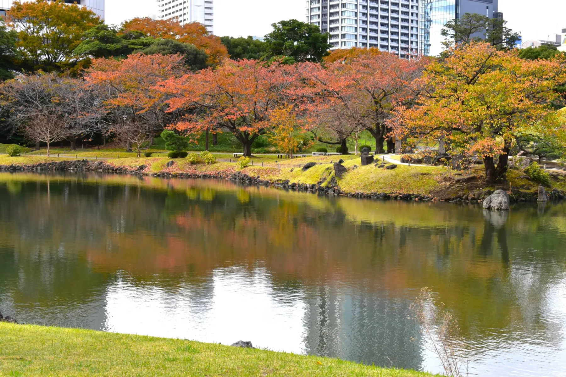 旧芝離宮恩賜庭園の紅葉情報_2