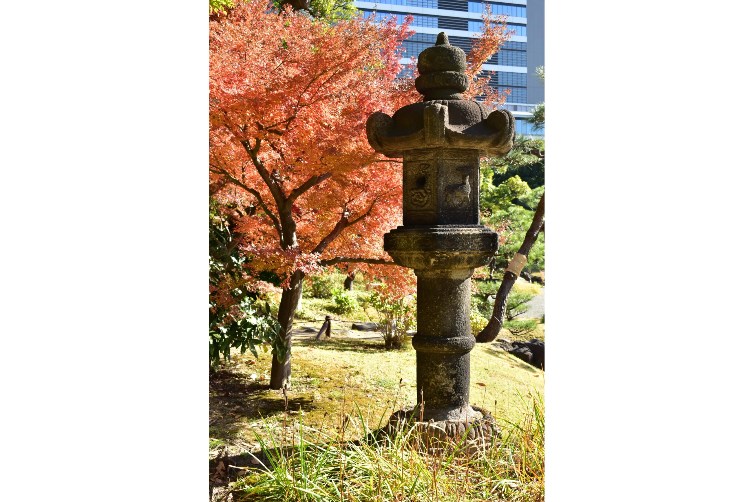 旧芝離宮恩賜庭園の紅葉情報