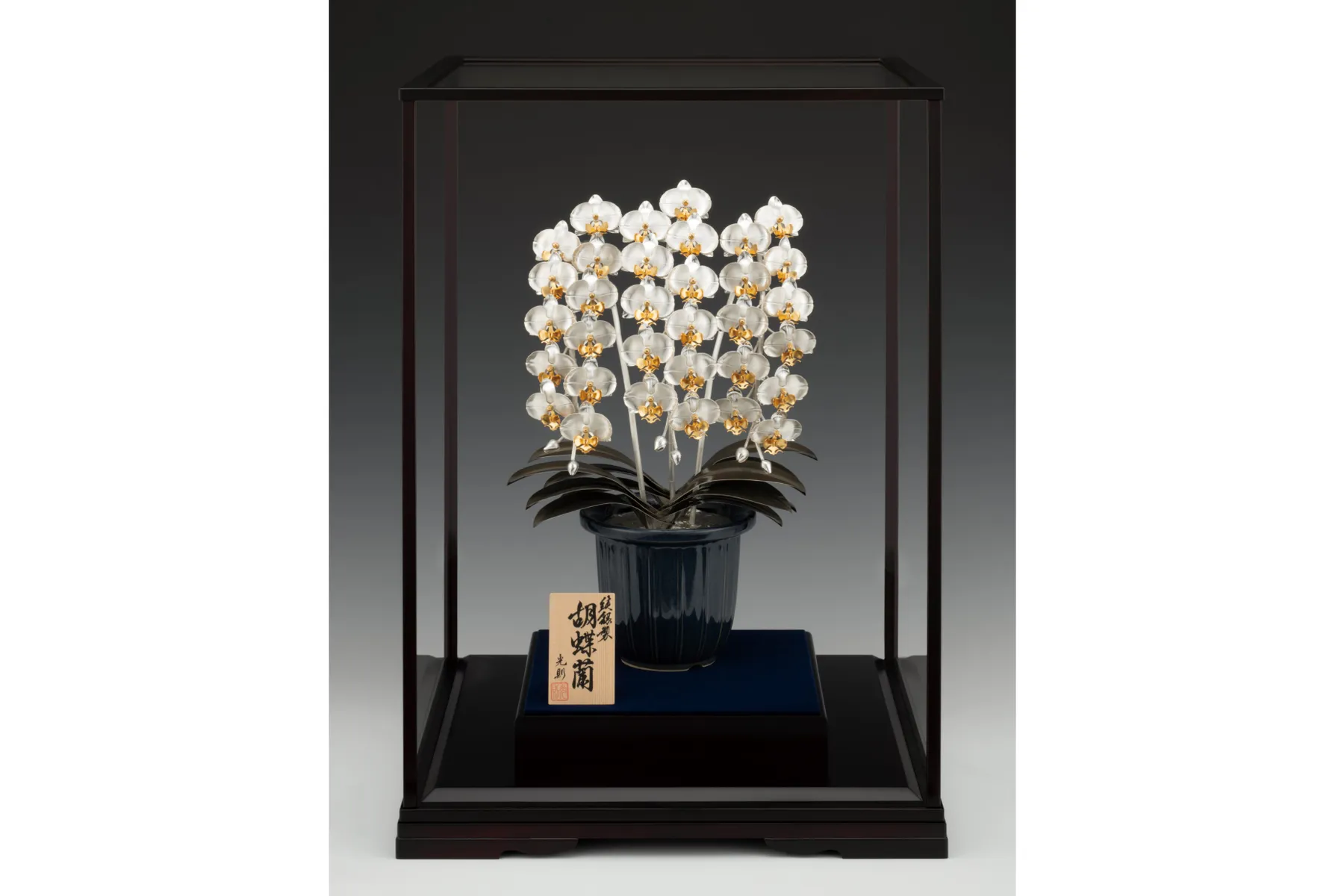 金の祭典_7