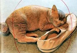 西誠人　猫　木彫アート 会期終了】- 猫、ネコ、ねこ - 西誠人木彫展 - 翠波画廊 | 絵画