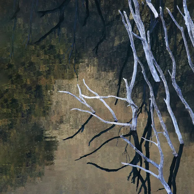 滝原逸郎「写真絵画主義」