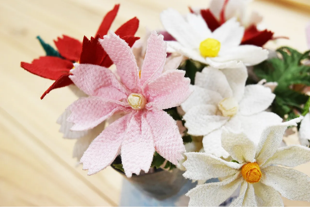 くりはま花の国  コスモスまつり_7
