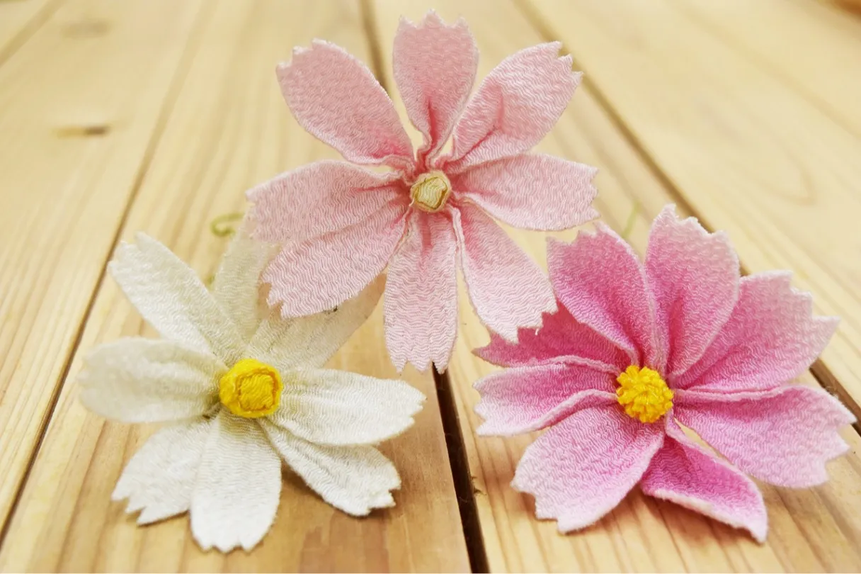 くりはま花の国  コスモスまつり_8