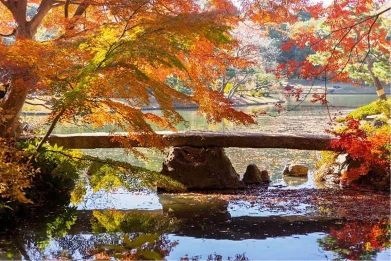 六義園のイベント・アクセス