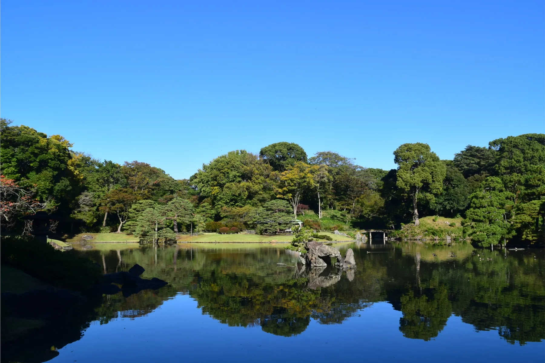 秋の六義園～六義園で日本文化に親しむ～_1