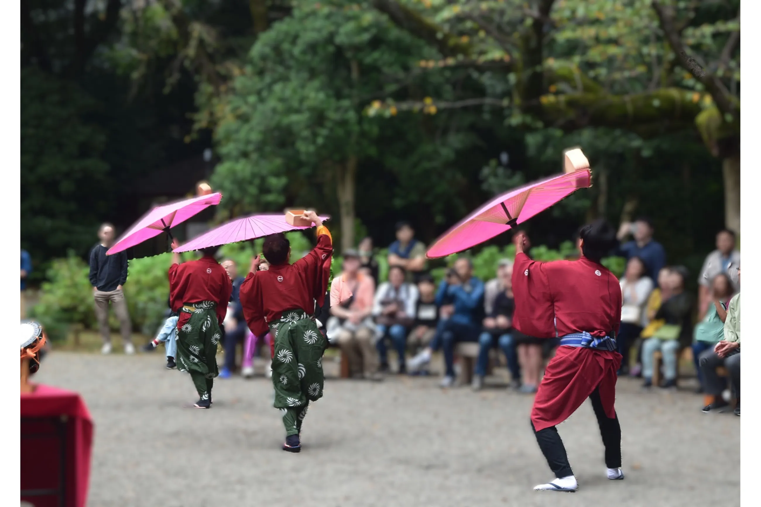 秋の六義園～六義園で日本文化に親しむ～
