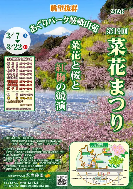 第19回 菜花まつり