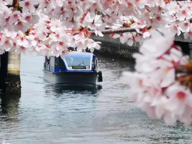 お花見限定貸切クルーズ　隅田川プラン　ジェットセイラー
