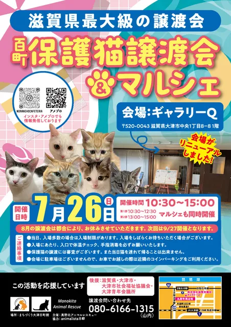 百町保護猫譲渡会＆マルシェ