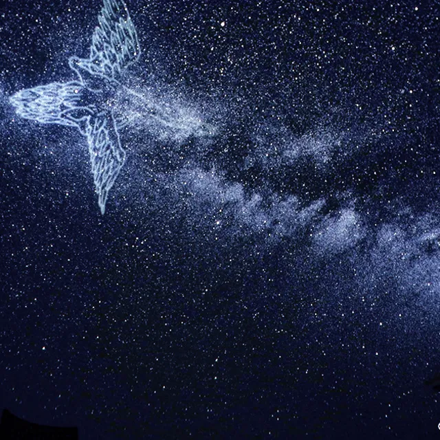 キャンプラグドvol.9　BIOTOPIAにプラネタリウムがやってくる！(宙の学校）
