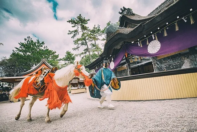 住吉大社 白馬神事