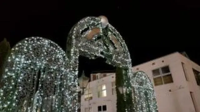 松原モールイルミネーション