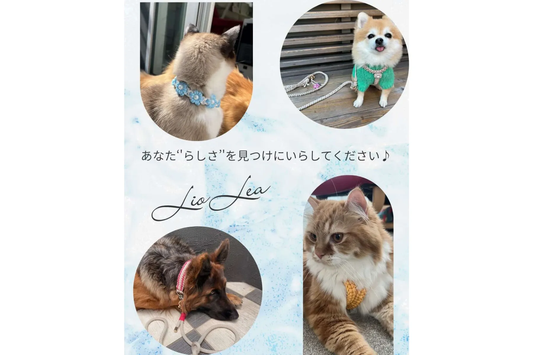 Pet Wink Market(ペットウィンクマーケット)_13