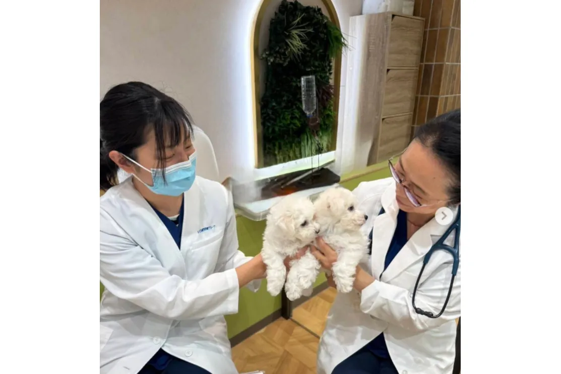 Pet Wink Market(ペットウィンクマーケット)_14
