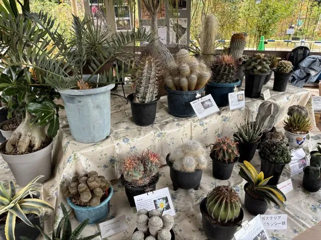 サボテン・多肉植物展示会